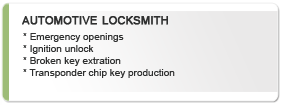 auto locksmith Lutz 